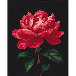 Картина по номерам Brushme Пионы в сиянии росы 40x50 см