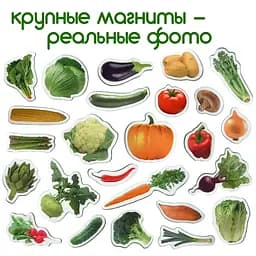 Магнітний набір Magdum Овочі (ML4031-12 EN) - мініатюра 2