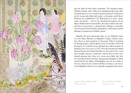 The Book of Wild Flowers - мініатюра 5