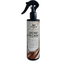 Засіб для матових фасадів кухні Secret facade 250 мл