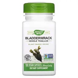 Фукус пухирчастий Nature's Way Bladderwrack, 100 вегакапсул для підтримки щитовидної залози