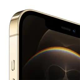Смартфон iPhone 12 Pro Max 256GB Model A2411 Grade B Seller Refurbished Gold - мініатюра 2