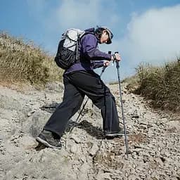 Трекінгова палиця Naturehike (CNK2450DS017) 35-110см - складна - чорна - мініатюра 5