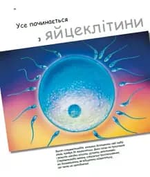 X та Y, дівчинка або хлопчик? - мініатюра 4