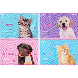 Набір зошитів для малювання Kite Rachael Hale 24 аркуші скоба гібр. лак + УФ лак 12 шт. (R24-242)