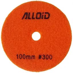 Круг алмазний Alloid Building Tools Star шліфувальний на липучці 100 мм зерно 300 (DD-63373)