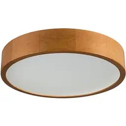 Світильник стельовий Kanlux Jasmin 370-G/O-Kanlux