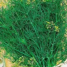 Семена Весна Укроп Атлант Зипер 7 г (177298)