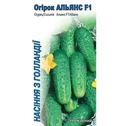 Насіння НК Еліт Огірок Альянс F1 20 шт. (10997)