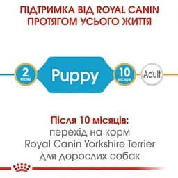 Сухий корм для цуценят породи Йоркширський Тер'єр Royal Canin Yorkshire Terrier Puppy, 7,5 кг (39720751) - мініатюра 8