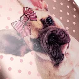 Рюкзак каркасний 1 Вересня H-29 Dolly Dog, кораловий (559516) - мініатюра 13