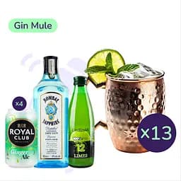 Коктейль Gin Mule (набор ингредиентов) х13 на основе Bombay