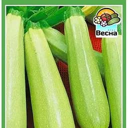 Семена Весна Кабачок Кустовой 2 г (18678)