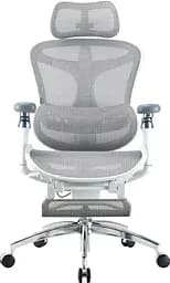 Офісне крісло Sihoo DORO C300 Pro Mesh White with footrest (DORO-C300-PRO-M102-JT)