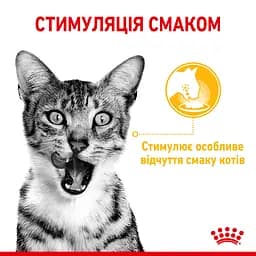 Вологий корм для дорослих котів Royal Canin Taste Jelly шматочки в желе 1.02 (12 шт. х 85 г) - мініатюра 5
