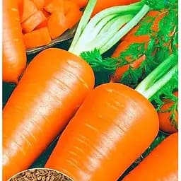 Семена Весна Морковь Яркая Большой пакет 7 г (32447)