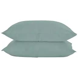 Набір наволочок Cosas Agave 50х70 см агавовий (SetPillow_RanforsAshmint_50)