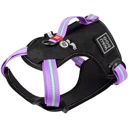 Шлея для собак Waudog Nylon c QR паспортом, безопасная, S 35-60х55-65х2 см, фиолетовый (52479)