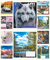 Тетради ученические 60 листов клетка Люкс 11631 Микс 8, 10 шт. в упаковке