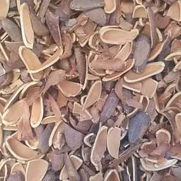 100 г кедровая скорлупа/шелуха/кедровых орехов - свежий урожай
