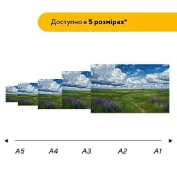 Дерев'яний фігурний пазл Асканія Нова, А3, Картонна коробка 200 елементів - мініатюра 2