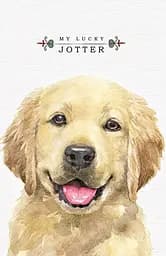 Блокнот, 60 г, 7БЦ, 105x165 мм, 64 аркуші, клітинка, матова ламінація, 19372