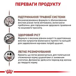 Сухий дієтичний корм для кошенят Royal Canin Gastrointestinal Kitten при порушенні травлення, 2 кг (1228020) - мініатюра 8