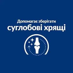 Сухий корм Hill's Prescription Diet j/d для собак догляд за суглобами з куркою 12 кг - мініатюра 6