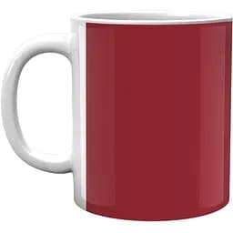 Кружка GeekLand Моя геройская академия My Hero Academia Тодороки Вектор MHA 02.511