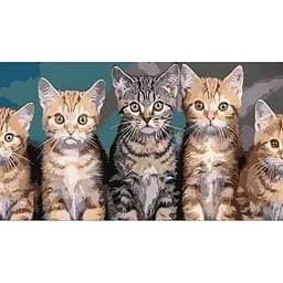 Набір для розпису по номерах Кошенята, Strateg, 50x25 см, WW199