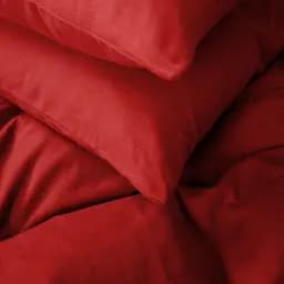 Комлект постільної білизни MirSon Фланель 009 Red 2 x 160 x 220 см червоний (2200009651670) - мініатюра 14