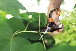 Ножиці Fiskars Solid Softgrip SP15 для мікрообрізки (1051602) - мініатюра 8