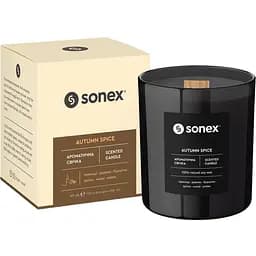 Ароматична свічка Sonex Autumn Spice (SO102482)
