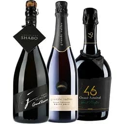 Набір: Дегустація українських ігристих