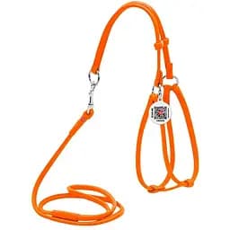 Шлей с поводком для собак Waudog Glamour кожаный с QR паспортом, круглый, оранжевый