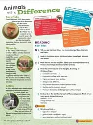 Own it! Level 1. Student's Book with Practice Extra - мініатюра 6