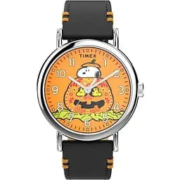 Годинник Timex Tx2y12300