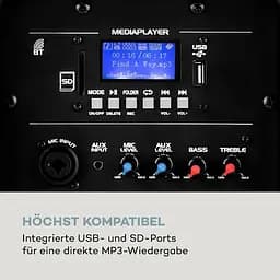 Мобільна акустична система auna Pro Streetstar 2.0 15 (10031568) - мініатюра 7