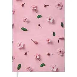 Щоденник недатований Buromax Provence A5 рожевий (BM.2066-10)
