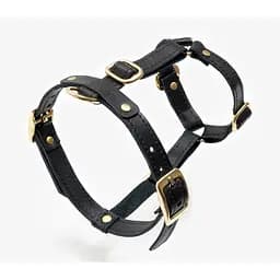 Шкіряна анатомічна шлея для собак "Classy" XS чорна (обхват грудини 28-36 см)