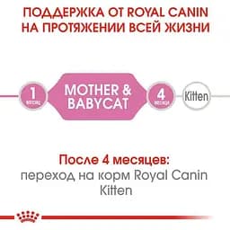 Набір вологого корму для кошенят до 4 місяців Royal Canin Babycat Instinctive 2.34 кг (12 шт. х 195 г) - мініатюра 2