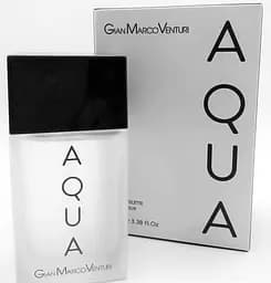 Оригинал Gian Marco Venturi Aqua 100 мл туалетная вода