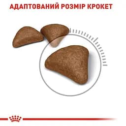 Сухий корм для виведення грудочок шерсті у котів Royal Canin Hairball Care з м'ясом птиці 2 кг - мініатюра 2