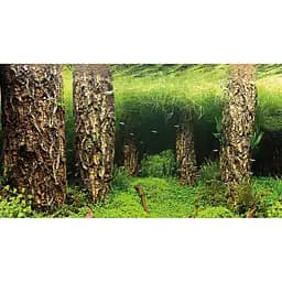Задній фон Hobby Scaping Hill / Scaping Forest 60x30 см (31030) - мініатюра 3