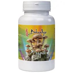 Агарик Bekandze онкопротектор, антистрес, профілактика пухлин, для імунітету, печінки та ШКТ 400 мг 60 капсул