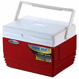 Изотермический контейнер Pinnacle Eskimo 11 л (Es 11л)