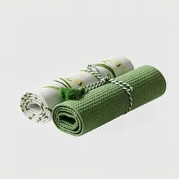 Набір рушників кухонних бавовна SOHO Spring 40х60см 170г/м2 2шт (BS 45531)