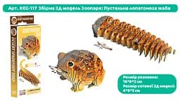 Збірна 3Д модель Eugy Зоопарк Пустельна лопатонога жаба (XEG-117) - мініатюра 2