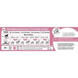 Сухий корм для кошенят Royal Canin Kitten м'ясо птиці та рис 2 кг - мініатюра 5
