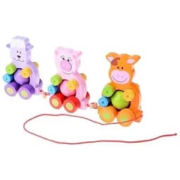 Іграшка для розвитку дерев'яний сортер IE176